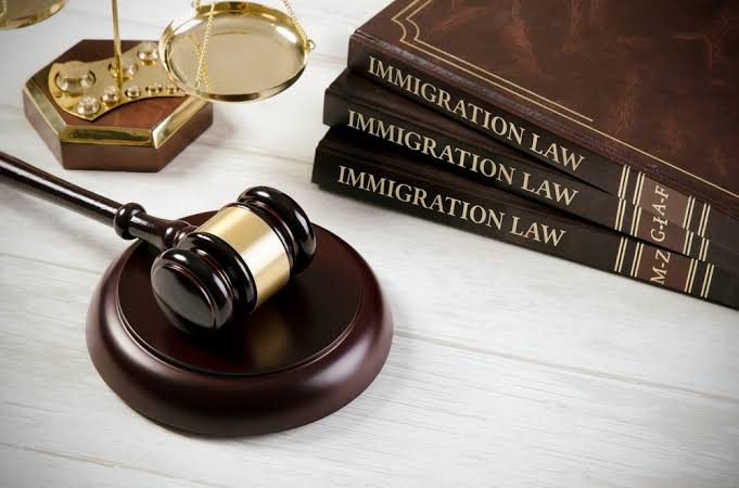 Immigration Consultation